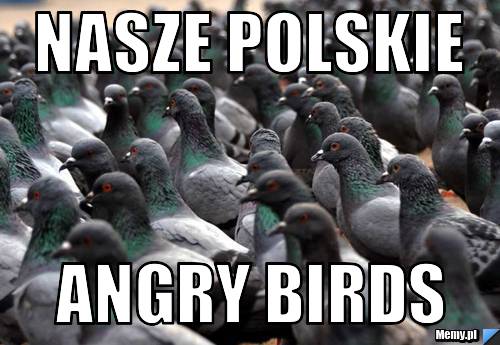 Nasze polskie angry birds