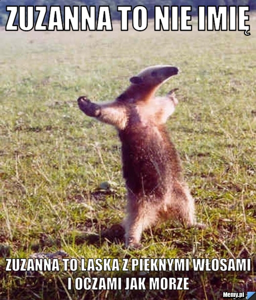 Zuzanna to nie imię zuzanna to laska z pięknymi włosami i oczami jak morze 