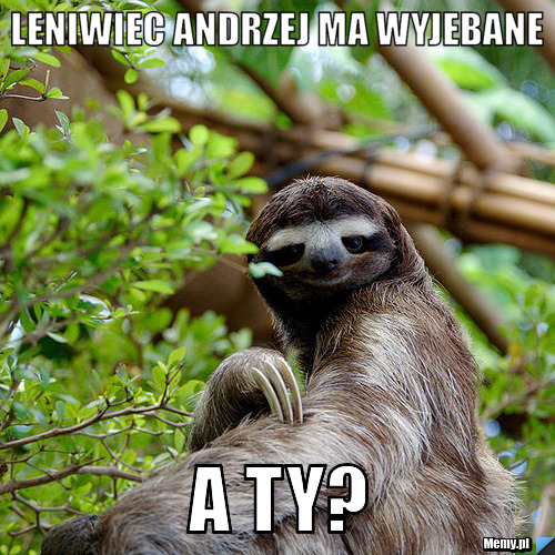 Leniwiec andrzej ma wyjebane a ty?