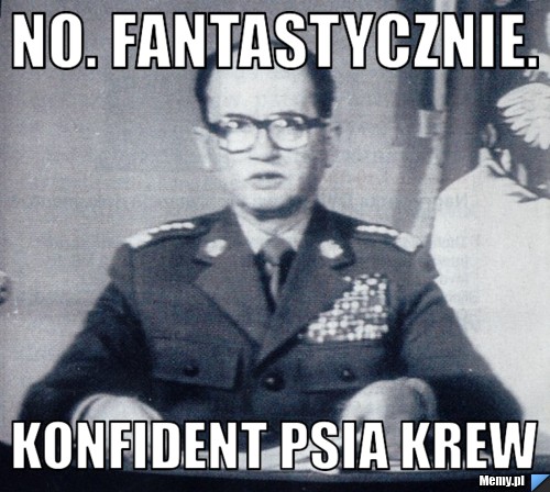No. fantastycznie. konfident psia krew