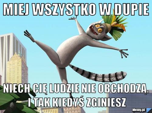 Miej wszystko w dupie niech Cię ludzie nie obchodzą. I tak kiedyś zginiesz