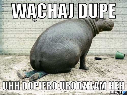 WĄCHAJ DUPE Uhh DOPIERO URODZIŁAM Heh