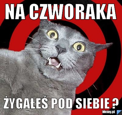 Na czworaka Żygałeś pod siebie ?