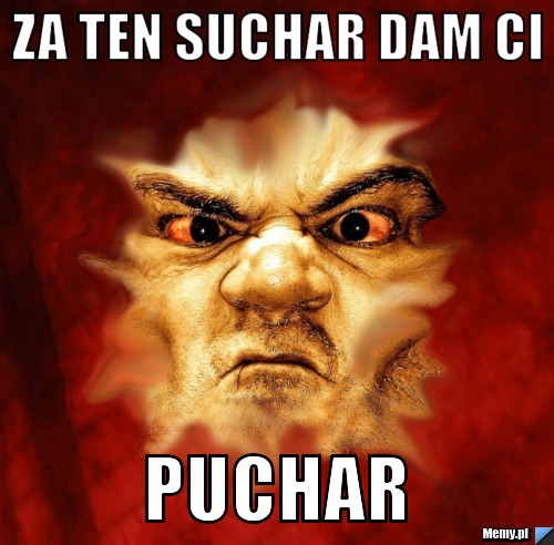 Za ten suchar dam Ci PUCHAR 