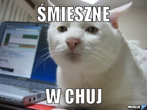 Śmieszne w chuj