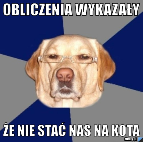 Obliczenia wykazały  Że nie stać nas na kota 