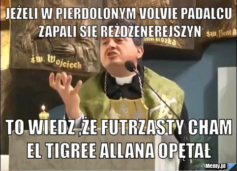 Jeżeli w pierdolonym Volvie Padalcu zapali się reżdżenerejszyn To wiedz ,że futrzasty cham El Tigree Allana opętał 