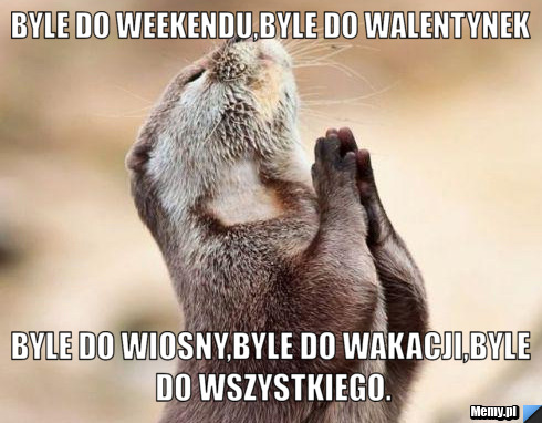 Byle do weekendu,byle do walentynek byle do wiosny,byle do wakacji,byle do wszystkiego.