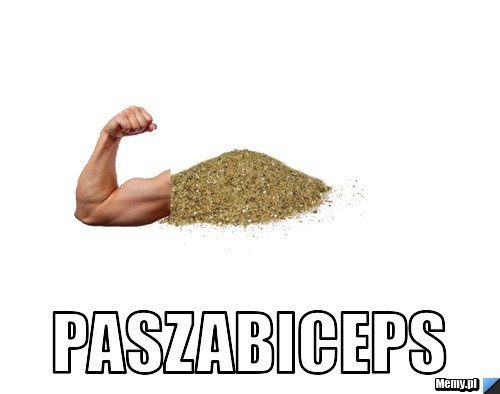  PaszaBiceps