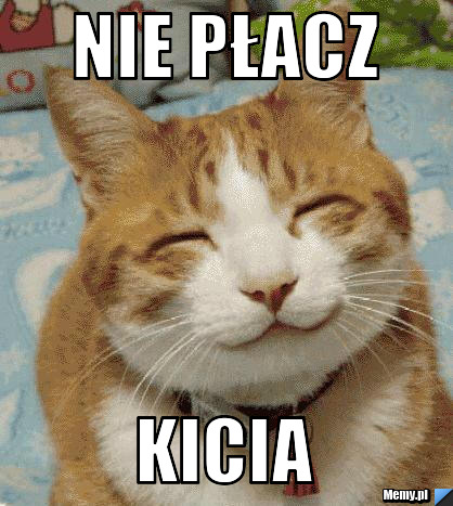 Nie płacz kicia 