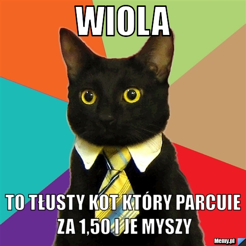 Wiola to tłusty kot który parCUIE ZA 1,50 I JE MYSZY