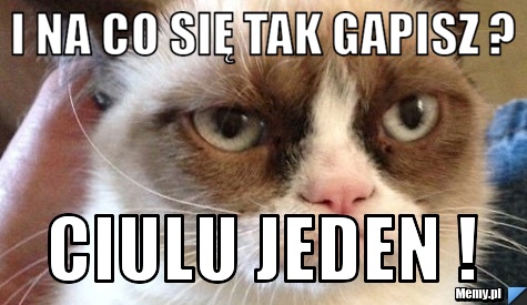 I na co się tak gapisz ? Ciulu jeden !