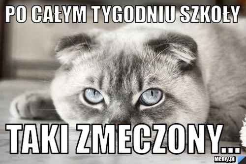 Po całym tygodniu szkoły Taki zmeczony...