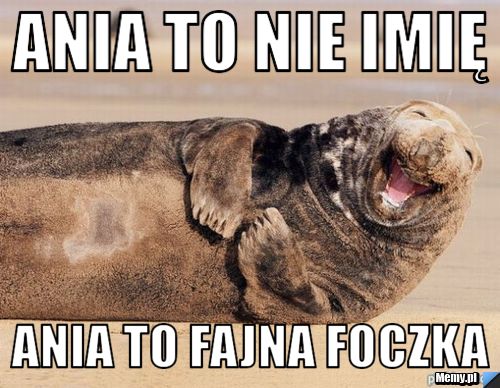 Ania to nie imię Ania to fajna foczka
