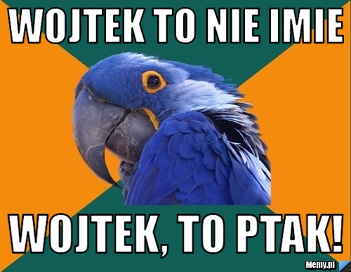 Wojtek to nie imie wojtek, to ptak!