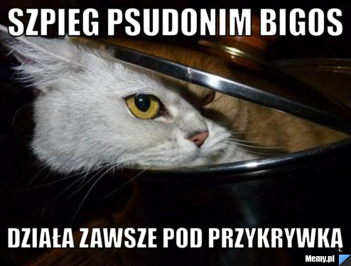 Szpieg psudonim bigos działa zawsze pod przykrywką