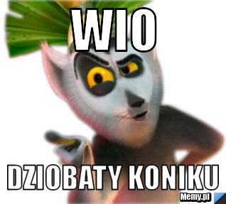 WIO DZIOBATY KONIKU