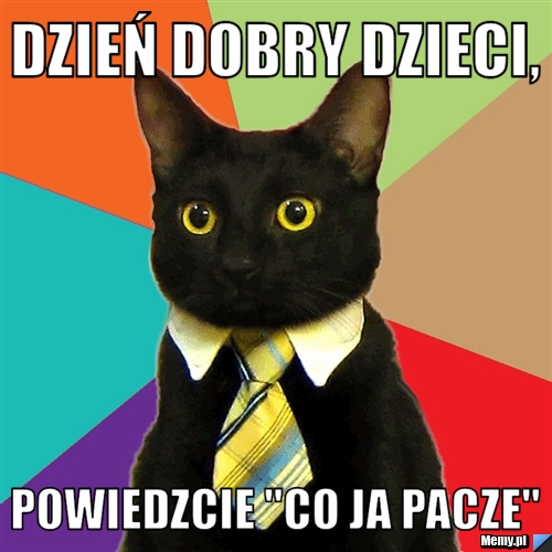 Dzień dobry dzieci, powiedzcie "co ja pacze"