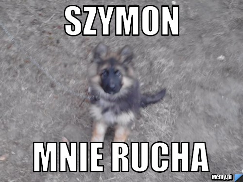 SZYMON MNIE RUCHA
