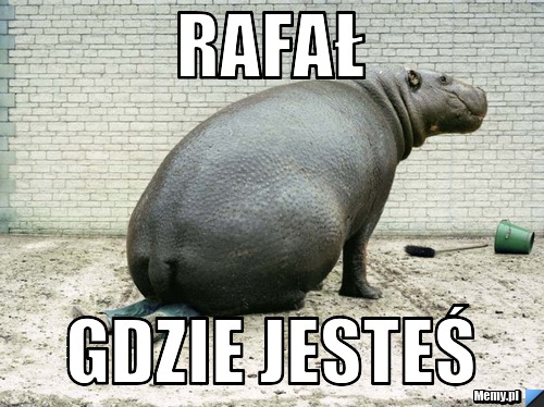 Rafał gdzie jesteś