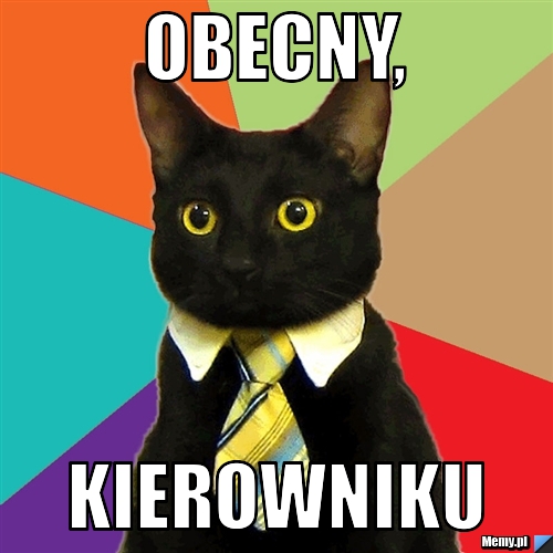 OBECNY, KIEROWNIKU
