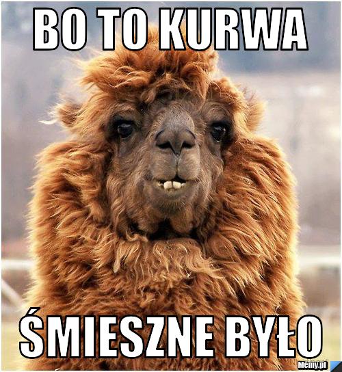 Bo to kurwa śmieszne było