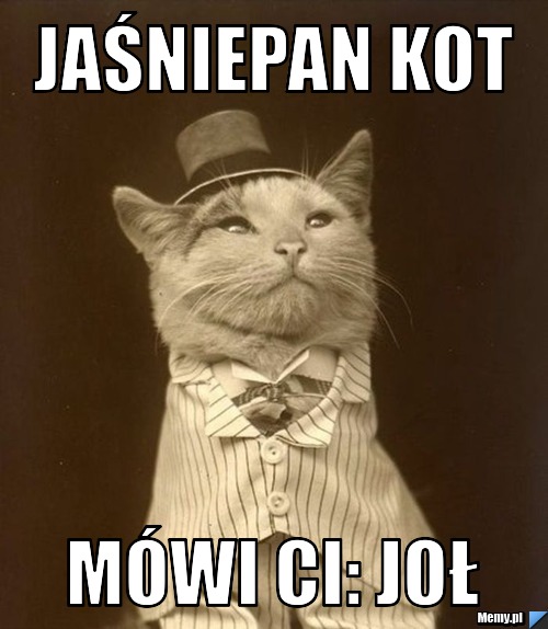 Jaśniepan kot mówi Ci: joł