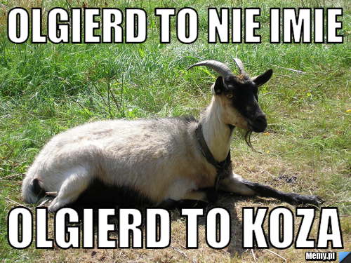 Olgierd to nie imie Olgierd to koza