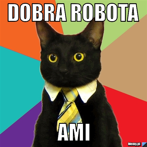 Dobra robota Ami