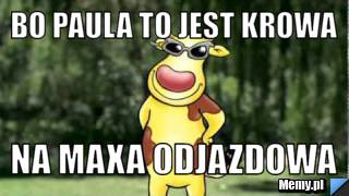 Bo paula to jest krowa na maxa odjazdowa 