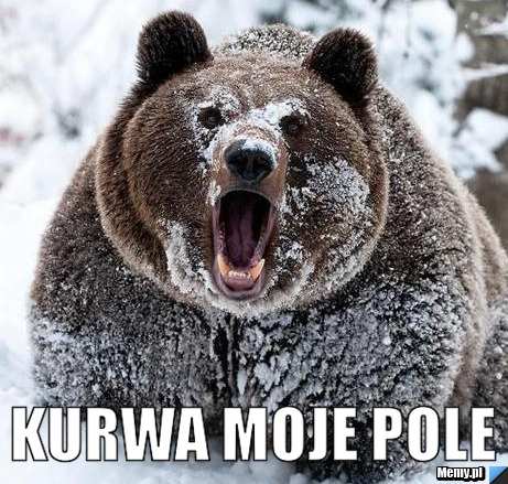  kurwa moje pole