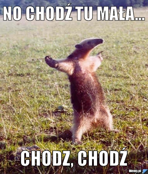 No chodź tu mała... Chodz, chodź