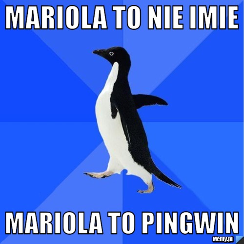 Mariola to nie imie  Mariola to pingwin