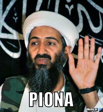  piona