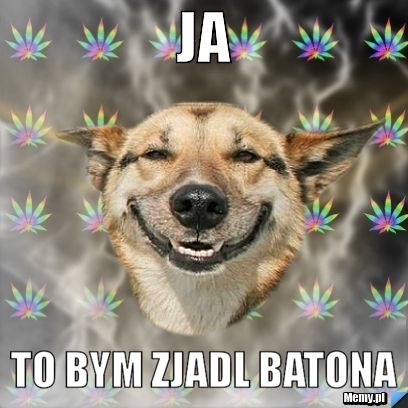Ja to bym zjadl batona