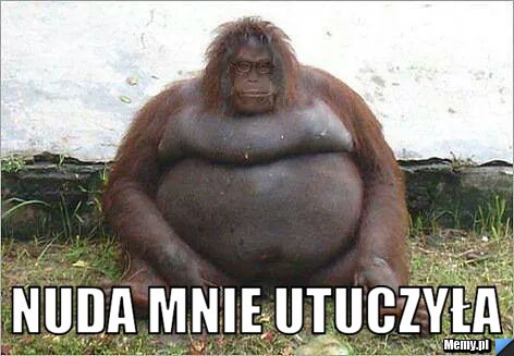  nuda mnie utuczyła