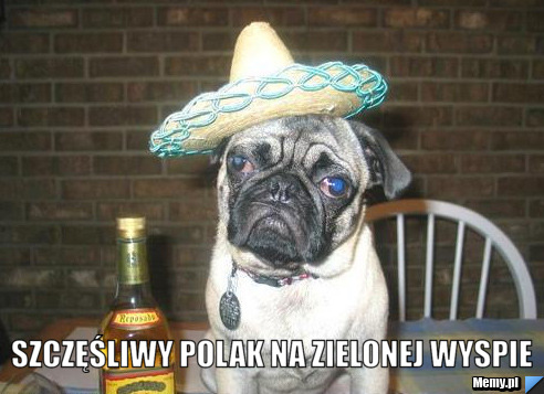  szczęśliwy polak na zielonej wyspie