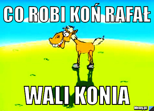 Co robi koń rafał Wali konia