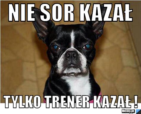 Nie SOR kazał Tylko trener kazał !