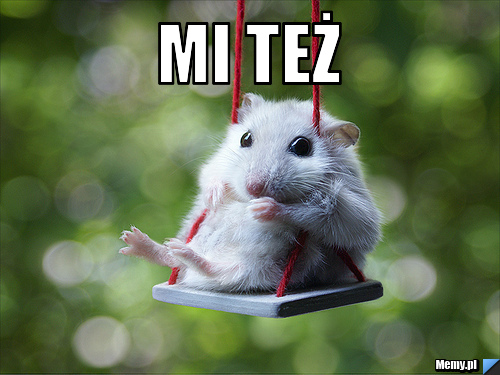 Mi też 