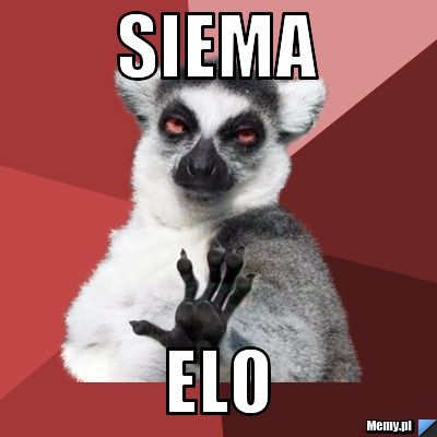 Siema elo
