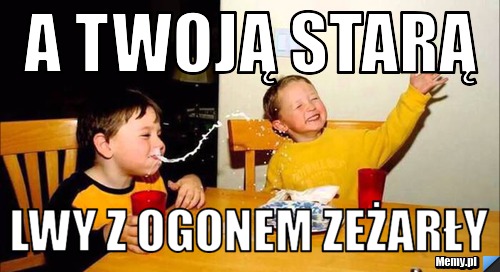 A twoją starą lwy z ogonem zeżarły