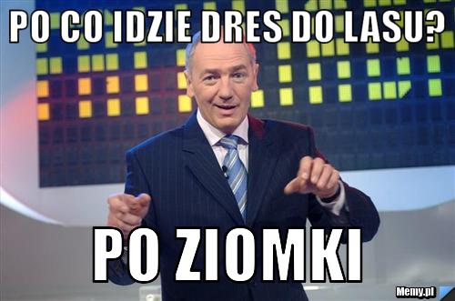 Po co idzie dres do lasu? po ziomki