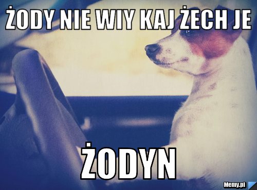 Żody nie wiy kaj żech je Żodyn
