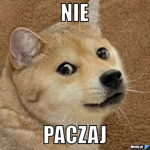 NIE PACZAJ