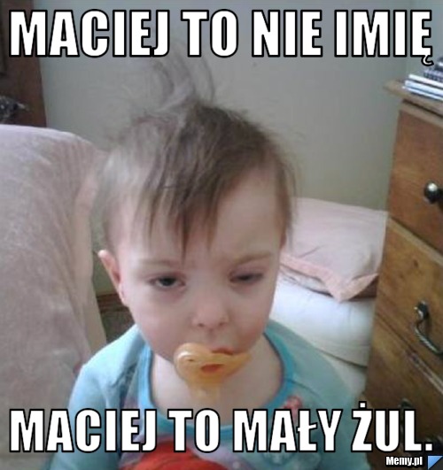 Maciej to nie imię Maciej to Mały Żul.