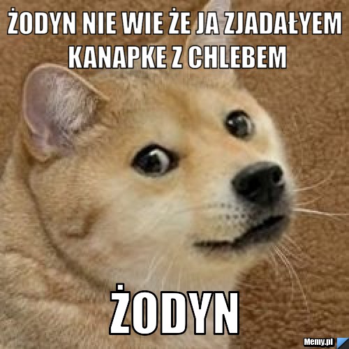Żodyn nie wie że ja zjadałyem kanapke z chlebem Żodyn