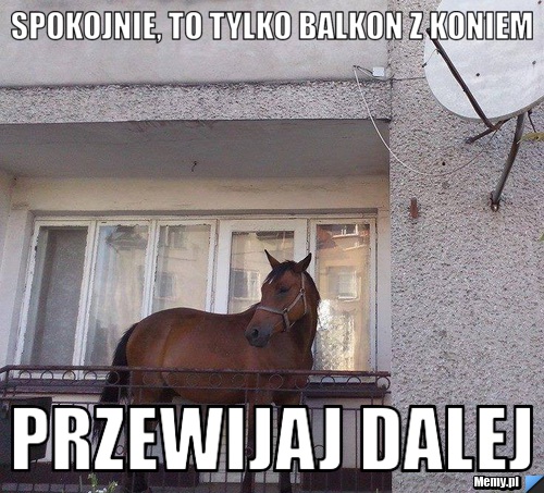 SPOKOJNIE, TO TYLKO BALKON Z KONIEM PRZEWIJAJ DALEJ