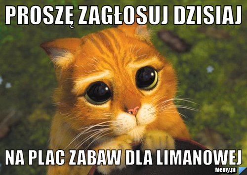 Proszę zagłosuj dzisiaj  Na plac zabaw dla Limanowej