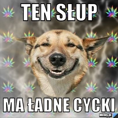 Ten słup ma ładne cycki